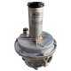 Клапан предохранительный сбросной MVS/1 DN25 (700 - 2100 mbar)